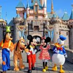 Private Disney Area Hotels To or From LAX Airport Transfer - Diverse Vehicle Options for Different Group Sizes