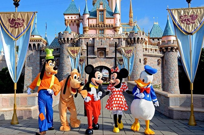 Private Disney Area Hotels To or From LAX Airport Transfer - Diverse Vehicle Options for Different Group Sizes