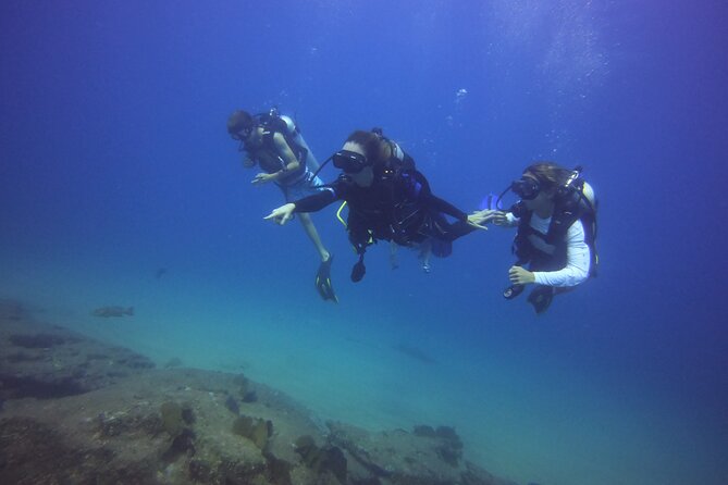 Private Dive Boat for Certified Divers - Cabo San Lucas - Cabo San Lucass Best Short-Distance Dive Sites