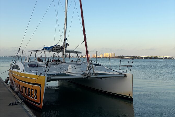 Private Dolphin Sightseeing Sail on the Lazy Daze Catamaran - Scenic Stops at Shell Island and Panama City Beach