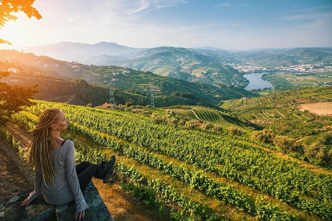 Private Douro Valley Wine Tour: 2 Wine Estates, Lunch and Cruise - Discovering the UNESCO-listed Douro Valley