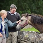 Private Driver - The Convenience of a Private Driver in Galway