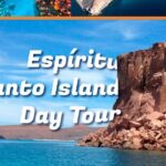 Private Driver english spoken - Flexible Private Transportation in Baja California