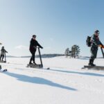 Private Driving Snow Scooters Experience in Finland - Starting Point in Puumala: Easy Access and Planning