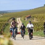 Private e-bike tour with a guide in the Vineyards of Chablis - Riding the Electric Bikes Through the Chablis Vineyards