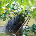 PRIVATE Eco Boat Trip out of Naples Bay, FL , island stop incl. - Wildlife Encounters and Ecosystem Education
