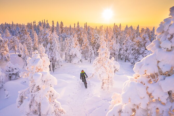 Private Electric Fat Bike Winter Tour in Rovaniemi - Transition from the City to the Snowy Trails