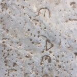 Private Ephesus Tour from Bodrum Port / Hotels - Exploring the Ancient City of Ephesus