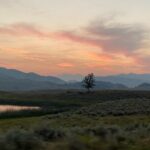 Private Evening/Sunset Wildlife Encounter Tour - Yellowstone’s Lamar Valley: The Heart of Wildlife Watching