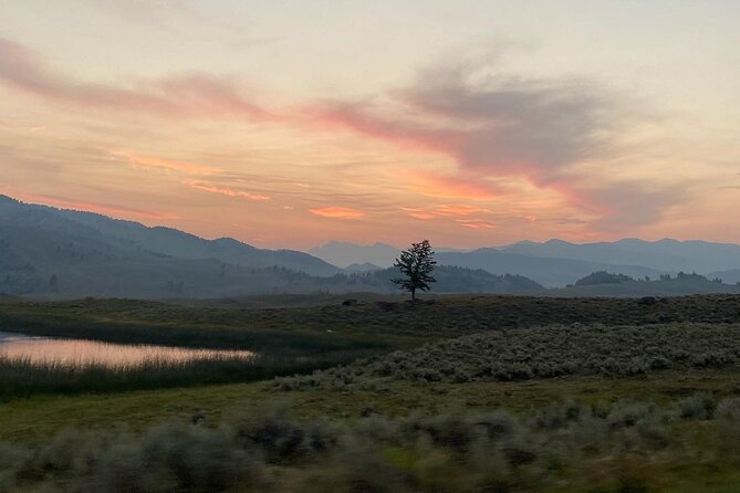 Private Evening/Sunset Wildlife Encounter Tour - Yellowstone’s Lamar Valley: The Heart of Wildlife Watching