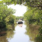 Private Everglades Airboat Tour including hotel pick up and Everglades specialist - Exploring Everglades National Park on a Private Basis