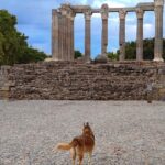 Private Évora Tour - Megaliths, Historical Center and Cork Region - The Roman Temple and Its Architectural Significance