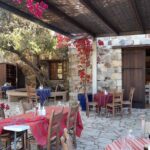 Private Exclusive Manousakis Winery and Vineyard Tour - Tour of the Manousakis Winery and Cellars