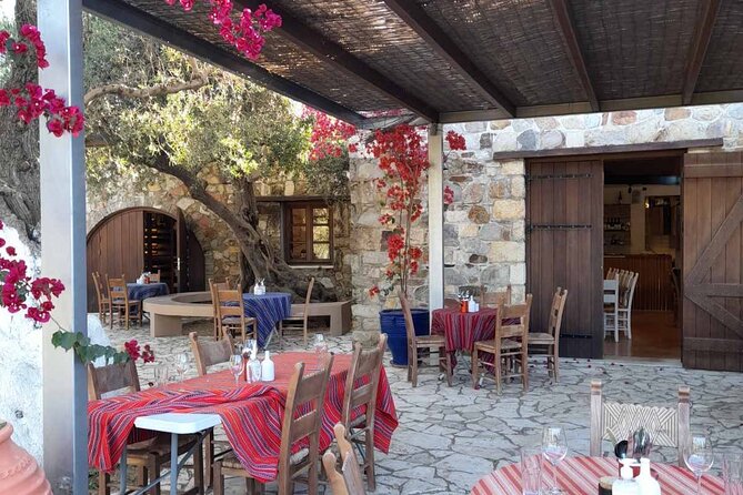 Private Exclusive Manousakis Winery and Vineyard Tour - Tour of the Manousakis Winery and Cellars