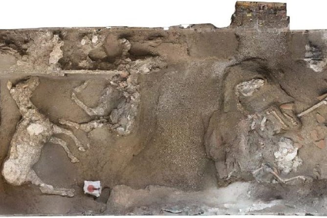 Private Exclusive VIP Tour of Positano, Pompeii & Mount Vesuvius - Guided Tour of Pompeii’s Archaeological Site