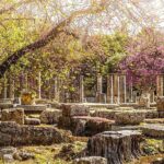 Private Excursion to Ancient Olympia - bee farm & winery - Explore the Archaeological Museum of Olympia