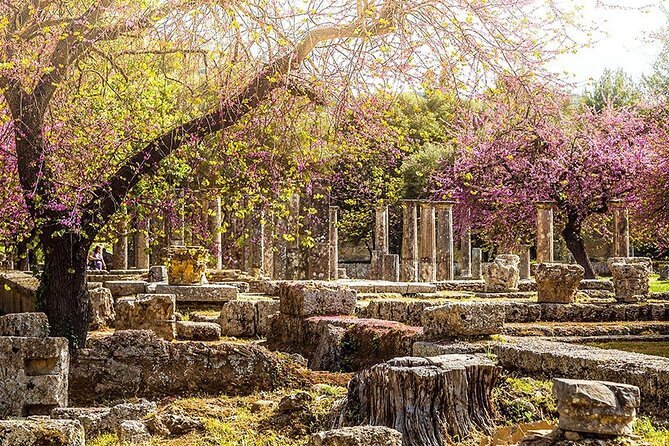 Private Excursion to Ancient Olympia - bee farm & winery - Explore the Archaeological Museum of Olympia