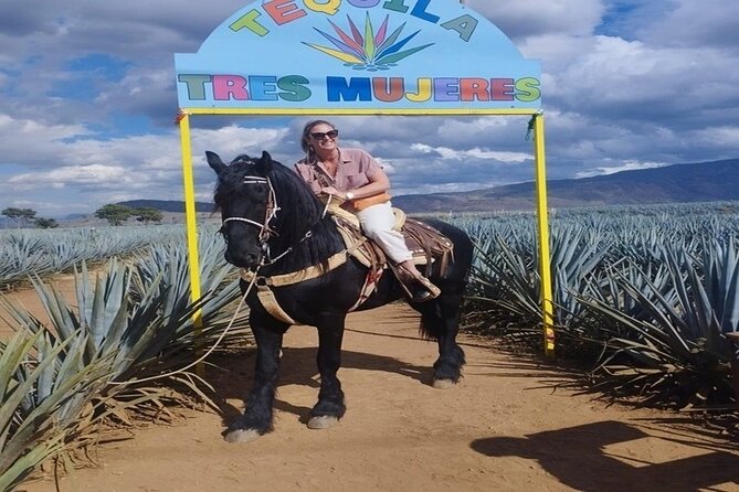 Private Experience of Tequila Town from Jalisco - Exploring El Arenal and Local Cuisine