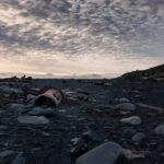 Private Exploration of The Snæfellsnes Peninsula - Picking Up in Reykjavik and Private Transportation with Wi-Fi