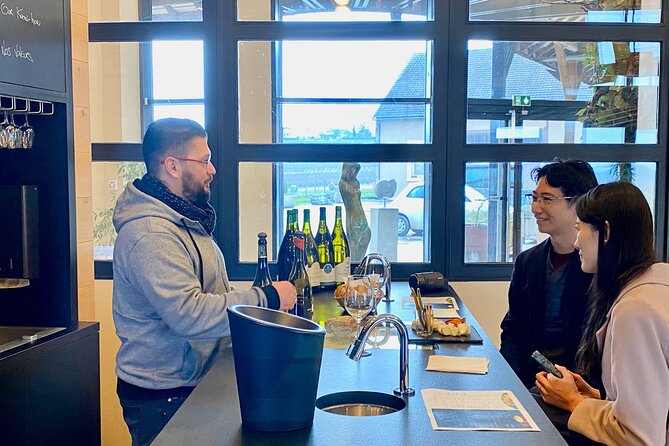 Private Exquisite Red & White Burgundy Wines Trip from Paris - Departure and Transportation Logistics from Paris to Burgundy