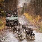 Private Fall Foliage Mushing Cart Ride in Fairbanks - The Unique Experience of Mushing on UTVs in Fairbanks