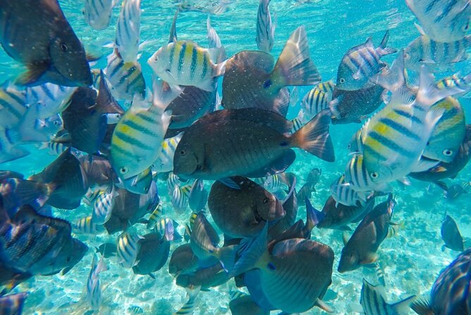 Private Family Catamaran From Isla Mujeres - Starting Point and Meeting Arrangements in Isla Mujeres