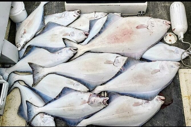 Private Fishing Adventure in Icy Strait Hoonah Alaska - Exploring Hoonah’s Icy Strait from the Water