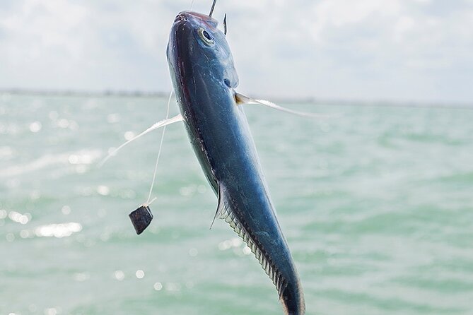 Private Fishing Tour from Isla Holbox (up to 6 pax) - Starting Point and Meeting Arrangements in Isla Holbox