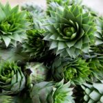 Private Food Tour & Wine Tasting In Tinos Island with a Local - Chatting with Locals and Discovering Tinos’ Traditions