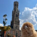 Private Full-Day Tour Bruges & Ghent from Brussels with tastings - Discovering Bruges: Medieval Streets and Artisanal Treats