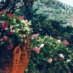 Private full day tour to Capri with grottos - Convenient Departure from Salerno’s Molo Manfredi