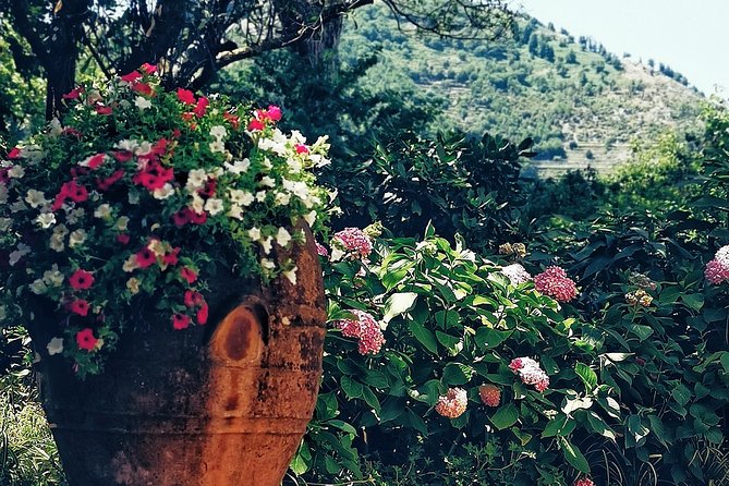 Private full day tour to Capri with grottos - Convenient Departure from Salerno’s Molo Manfredi