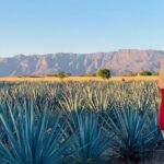 Private Full-Day Tour to Tequila Pueblo Magico - Selecto de Amatitan: Artisanal and Industrial Tequila Tour