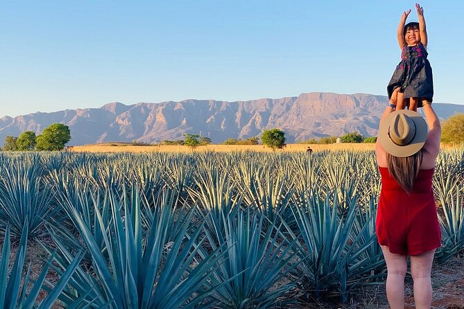 Private Full-Day Tour to Tequila Pueblo Magico - Selecto de Amatitan: Artisanal and Industrial Tequila Tour