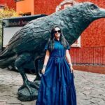 Private Full-Day Tour to Tequila Visiting Tequilera José Cuervo - Starting Point and Transportation Convenience