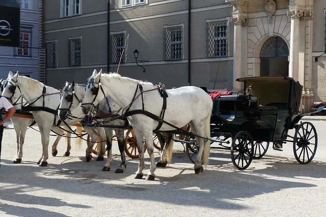 Private full day trip to Salzburg from Vienna - driver only - Discovering Salzburg’s Old Town and Hohensalzburg Fortress