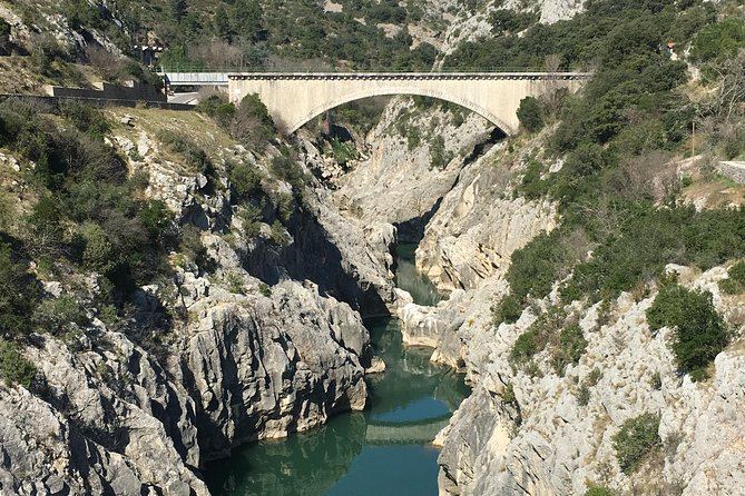 Private full day wine tour and Medieval Village from Montpellier - Visiting Mas de Daumas Gassac and Its Iconic Cellar