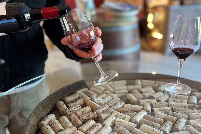 Private Full Day Wine Tour in Provence From Marseille cruise port - Scenic Drive Through Provence Countryside