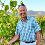 Private Full Day Wine Tour in Provence from Toulon Cruise Port - Visiting Two Provencal Wineries in the Morning