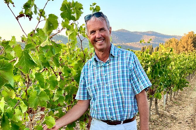 Private Full Day Wine Tour in Provence from Toulon Cruise Port - Visiting Two Provencal Wineries in the Morning