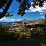 Private Funchal City Tour by Tukxi - Scenic Lookout Points for Photos and Views