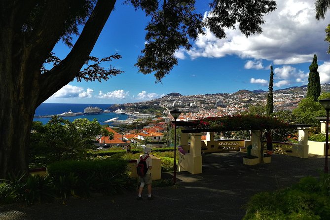 Private Funchal City Tour by Tukxi - Scenic Lookout Points for Photos and Views