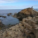 Private Giants Causeway Express Tour - Starting in Belfast: Scenic Drive and Beech Tree Avenue