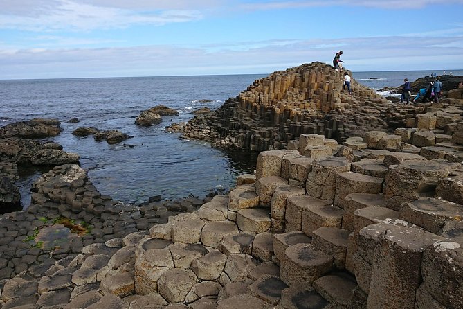 Private Giants Causeway Express Tour - Starting in Belfast: Scenic Drive and Beech Tree Avenue