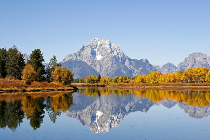 Private Grand Teton Wildlife Safari Tour - Meeting Point and Logistics in Jackson Hole