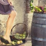Private Grape stomping in Chianti from Siena - Grape Stomping at Borgo di Vagliagli