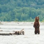 Private Group Eagle Preserve Float Trip in Haines - The Start: Convenient Pickup and Safety Briefing in Haines