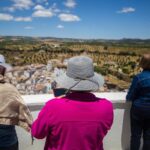 Private Guided Day Trip to the White Villages and Ronda from Seville - Ronda: The Clifftop Town and Its Famous Bridge