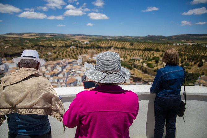 Private Guided Day Trip to the White Villages and Ronda from Seville - Ronda: The Clifftop Town and Its Famous Bridge