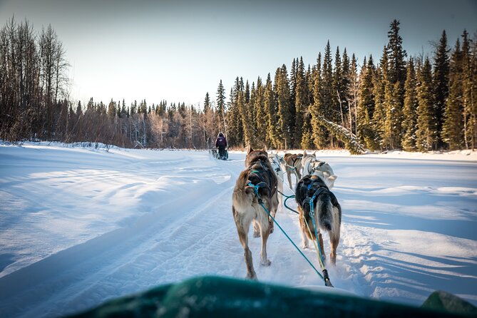Private Guided Dog Sledding on the Historic Yukon Quest Trail - The Route: Trails on the Yukon Quest and Scenic Highlights